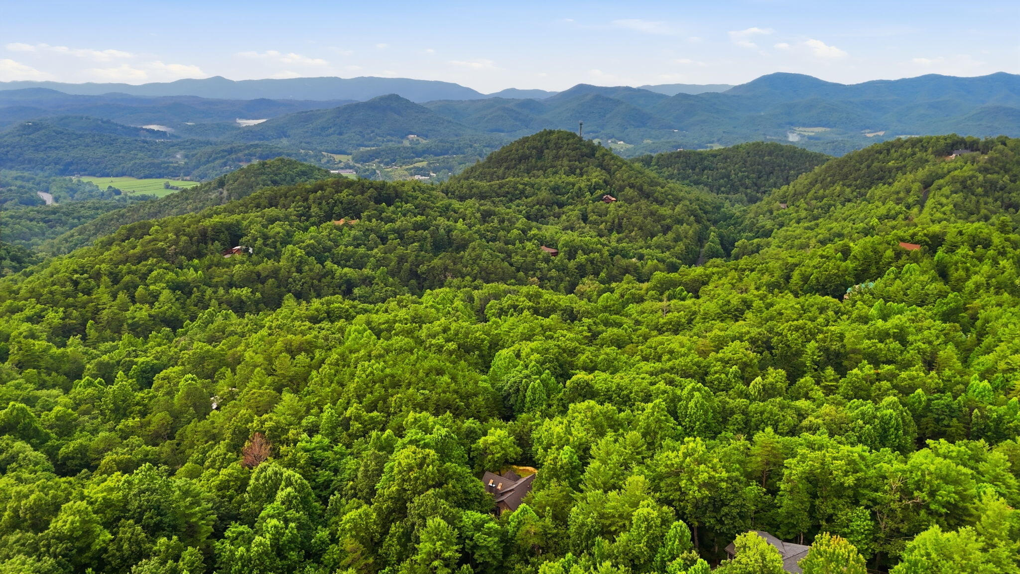 Green mountain setting around Fox Hollow